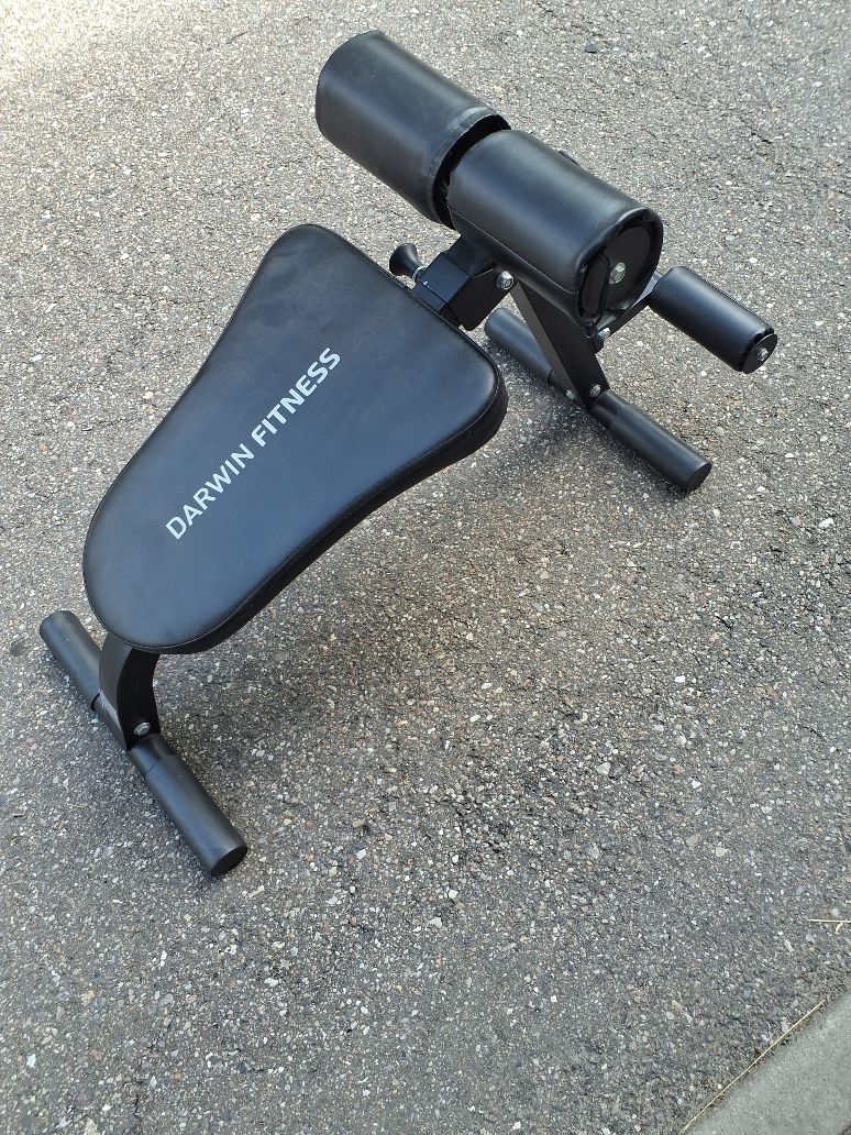 Darwin Fitness rygtræning